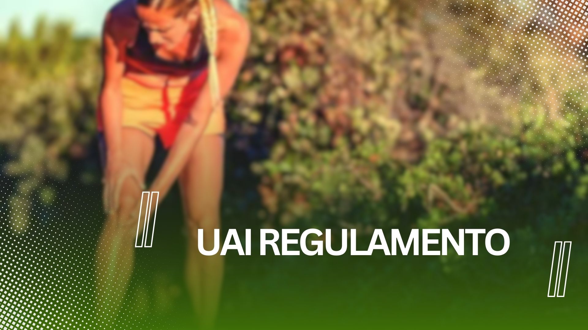 UAI Regulamento
